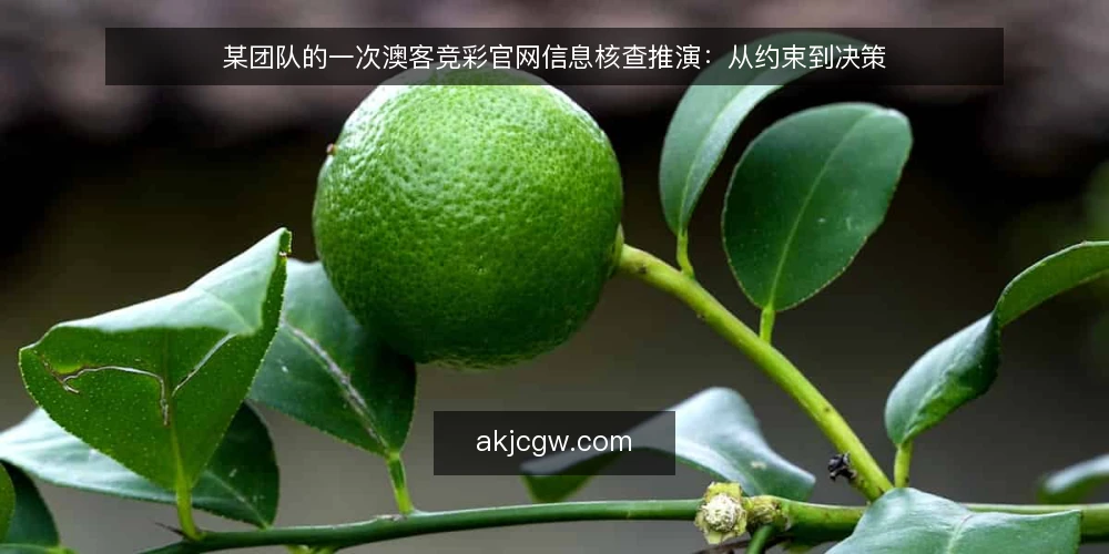 某团队的一次澳客竞彩官网信息核查推演：从约束到决策 — 场景与约束：信息需求从哪里来 配图